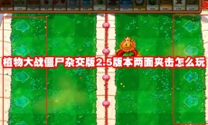 植物大战僵尸杂交版2.5版本两面夹击怎么玩