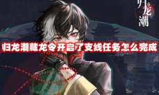 归龙潮藏龙令开启了支线任务怎么完成
