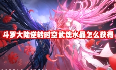 斗罗大陆逆转时空武魂水晶怎么获得
