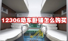 12306动车卧铺怎么购买