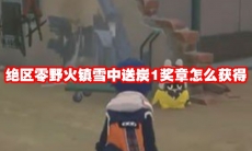 绝区零野火镇雪中送炭1奖章怎么获得
