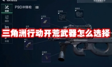 三角洲行动开荒武器怎么选择