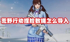 荒野行动捏脸数据怎么导入