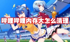 哔哩哔哩内存大怎么清理