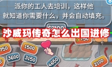 沙威玛传奇怎么出国进修