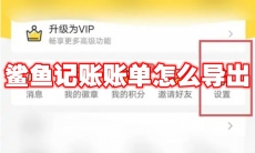 鲨鱼记账账单怎么导出