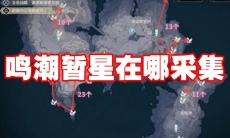 鸣潮暂星在哪采集