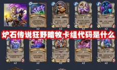炉石传说狂野暗牧卡组代码是什么