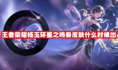 王者荣耀杨玉环星之鸣奏皮肤什么时候出