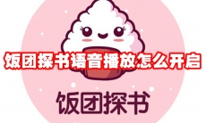 饭团探书语音播放怎么开启