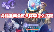 命运圣契鱼缸头阵容怎么搭配