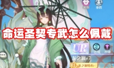 命运圣契专武怎么佩戴