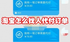 淘宝怎么找人代付订单