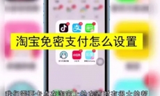 淘宝免密支付怎么设置