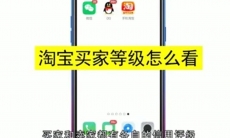 淘宝买家等级怎么查看