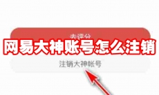 网易大神账号怎么注销