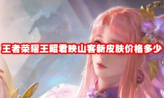 王者荣耀王昭君映山客新皮肤价格多少