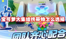 宝可梦大集结携带物怎么选择