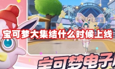 宝可梦大集结什么时候上线