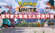 宝可梦大集结怎么快速升级