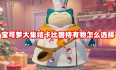 宝可梦大集结卡比兽持有物怎么选择
