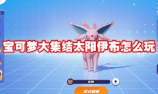 宝可梦大集结太阳伊布怎么玩