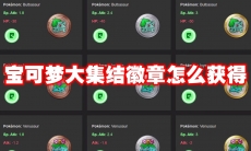 宝可梦大集结徽章怎么获得