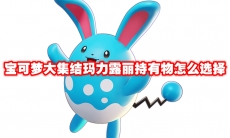 宝可梦大集结玛力露丽持有物怎么选择