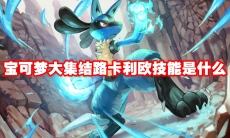 宝可梦大集结路卡利欧技能是什么