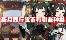 新月同行货币有哪些种类