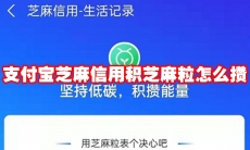 支付宝芝麻信用积芝麻粒怎么攒