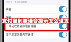 支付宝到账语音提示怎么设置