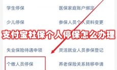 支付宝社保个人停保怎么办理
