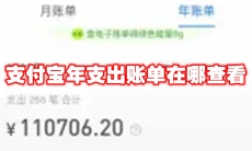 支付宝年支出账单在哪查看