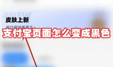 支付宝页面怎么变成黑色