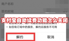 支付宝自动续费功能怎么关闭