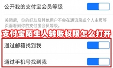 支付宝陌生人转账权限怎么打开