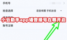 小云助手app语音报号在哪开启