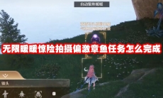 无限暖暖惊险拍摄偏激章鱼任务怎么完成