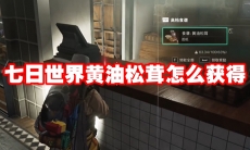 七日世界黄油松茸怎么获得