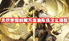 无尽梦回前期万金油队伍怎么搭配