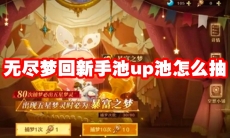 无尽梦回新手池up池怎么抽