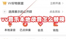 vv音乐本地录音怎么替换