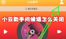 小云助手问候语怎么关闭