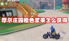 摩尔庄园橙色浆果怎么获得