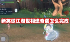 新笑傲江湖世相逢奇遇怎么完成