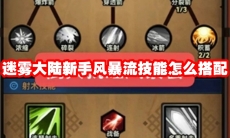 迷雾大陆新手风暴流技能怎么搭配