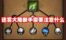 迷雾大陆新手需要注意什么