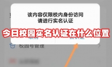 今日校园实名认证在什么位置