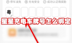 星星充电车牌号怎么绑定